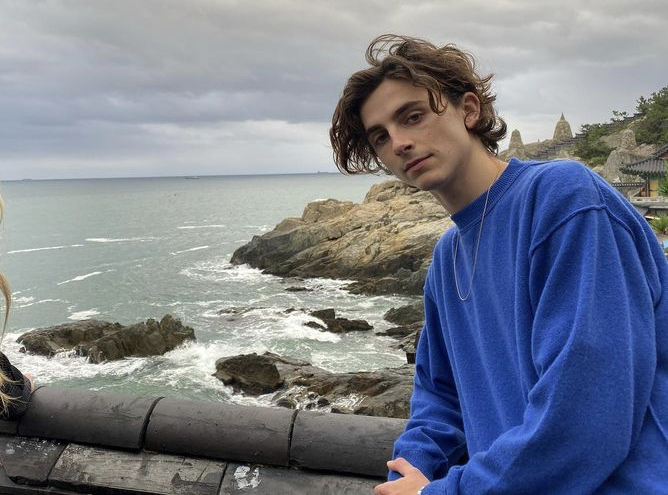 Timothée Chalamet será Willy Wonka en nueva adaptación