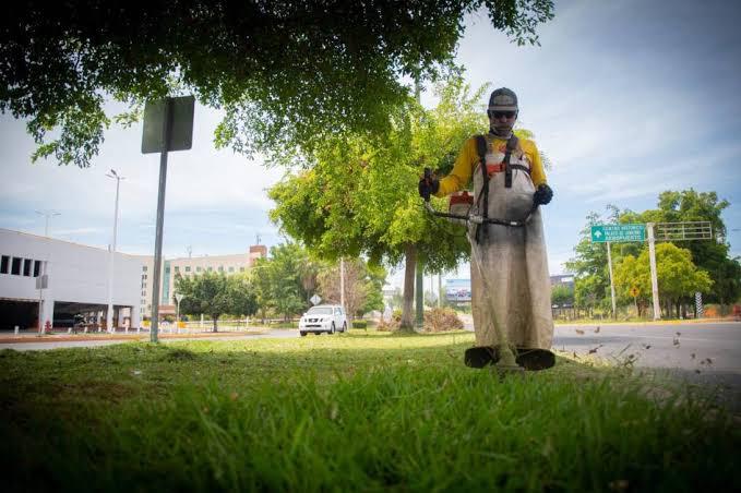 Urge profesionalizar Parques y Jardines y cambios en reglamentos para captar agua en Sinaloa, señalan especialistas