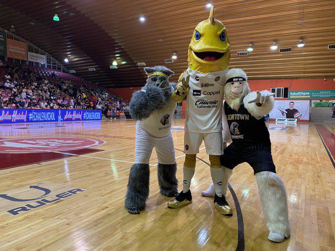 Dorados y Caballeros juegan en equipo por Culiacán