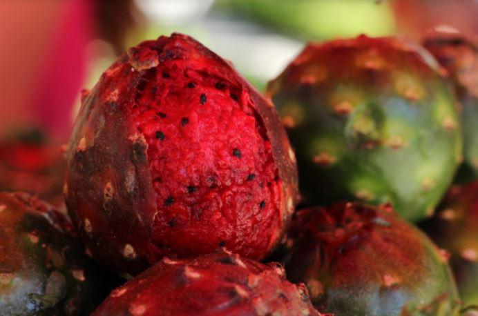 $!Costa, valle y sierra convierten a Sinaloa en una tierra tan fértil que hay alimentos poco aprovechados: Chef Delia Moraila