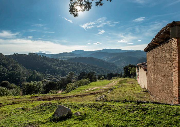 $!Una parte del bosque del Ejido Cruz de Ocote, en la Sierra Norte de Puebla, fue concesionado para el proyecto Ixtaca, sin conocimiento ni consentimiento de sus propietarios.