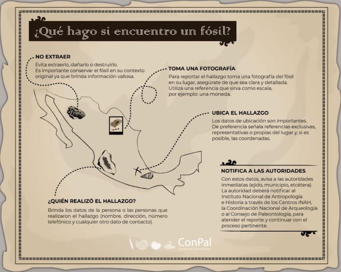 $!Pasos a seguir si se hallan piezas arqueológicas.