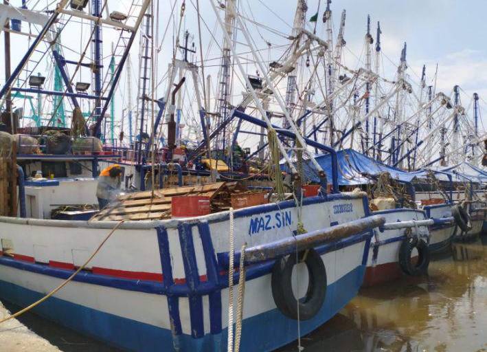 Este sábado dan banderazo de salida a camaroneros en Mazatlán