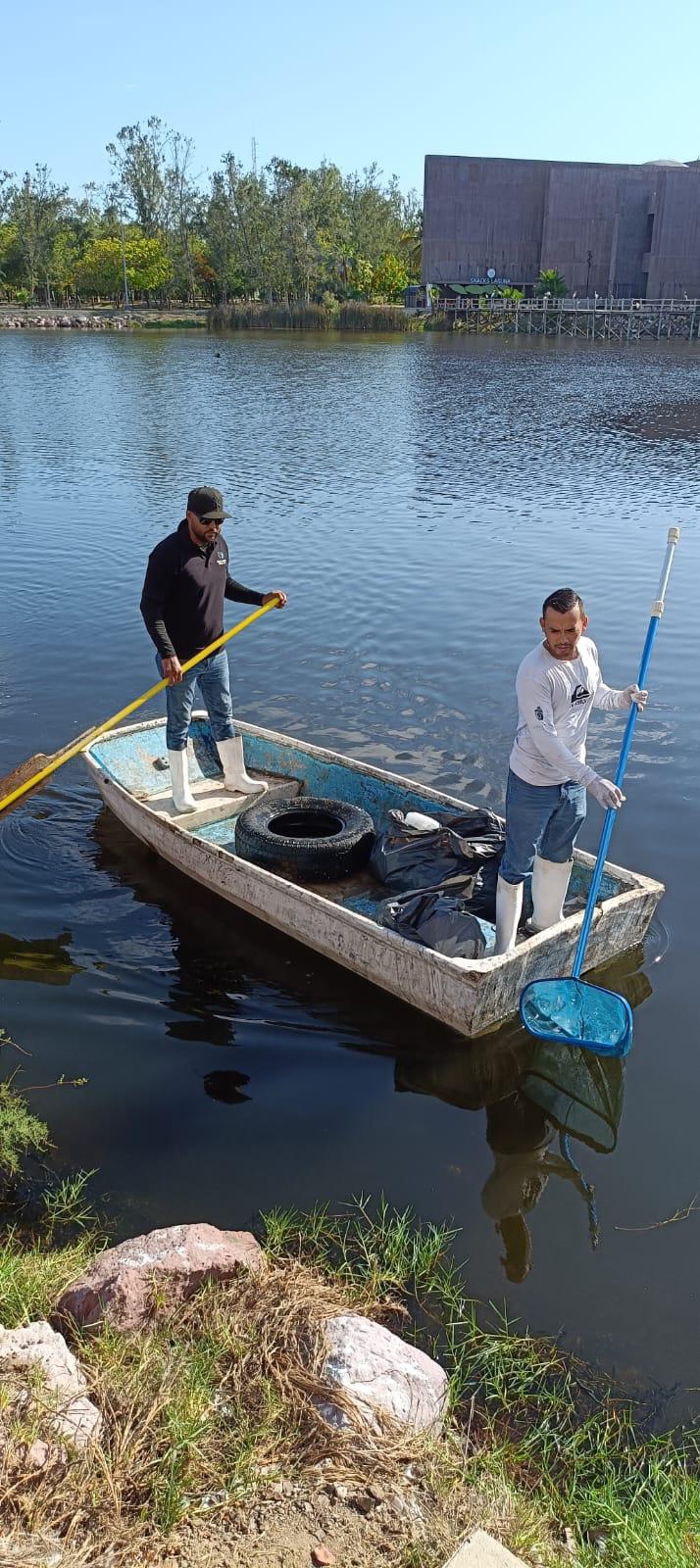 $!Realizan Gran Acuario Mazatlán y MazConCiencia limpieza en la Laguna El Camarón