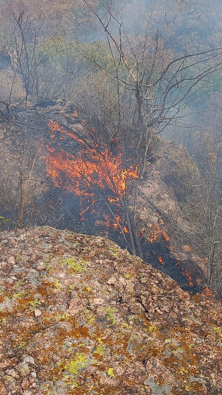 $!Se han perdido 1,700 hectáreas de bosque en Sinaloa por incendios en 2023