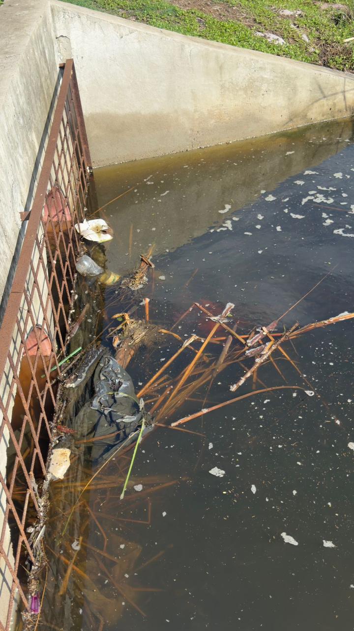 $!Aseguran vecinos de fraccionamiento Flamingos, en Mazatlán, que contaminación en Laguna del Camarón es drenaje