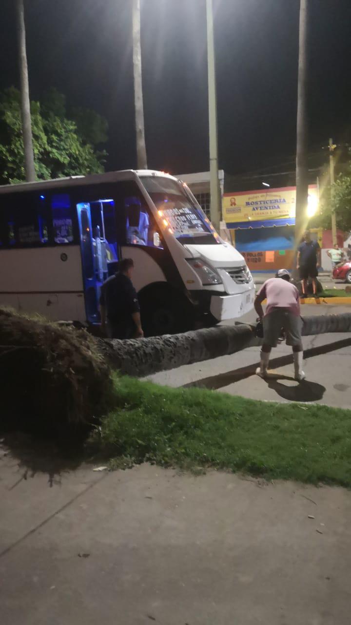 $!Cae palmera en la Avenida Miguel Alemán y bloquea los dos carriles viales