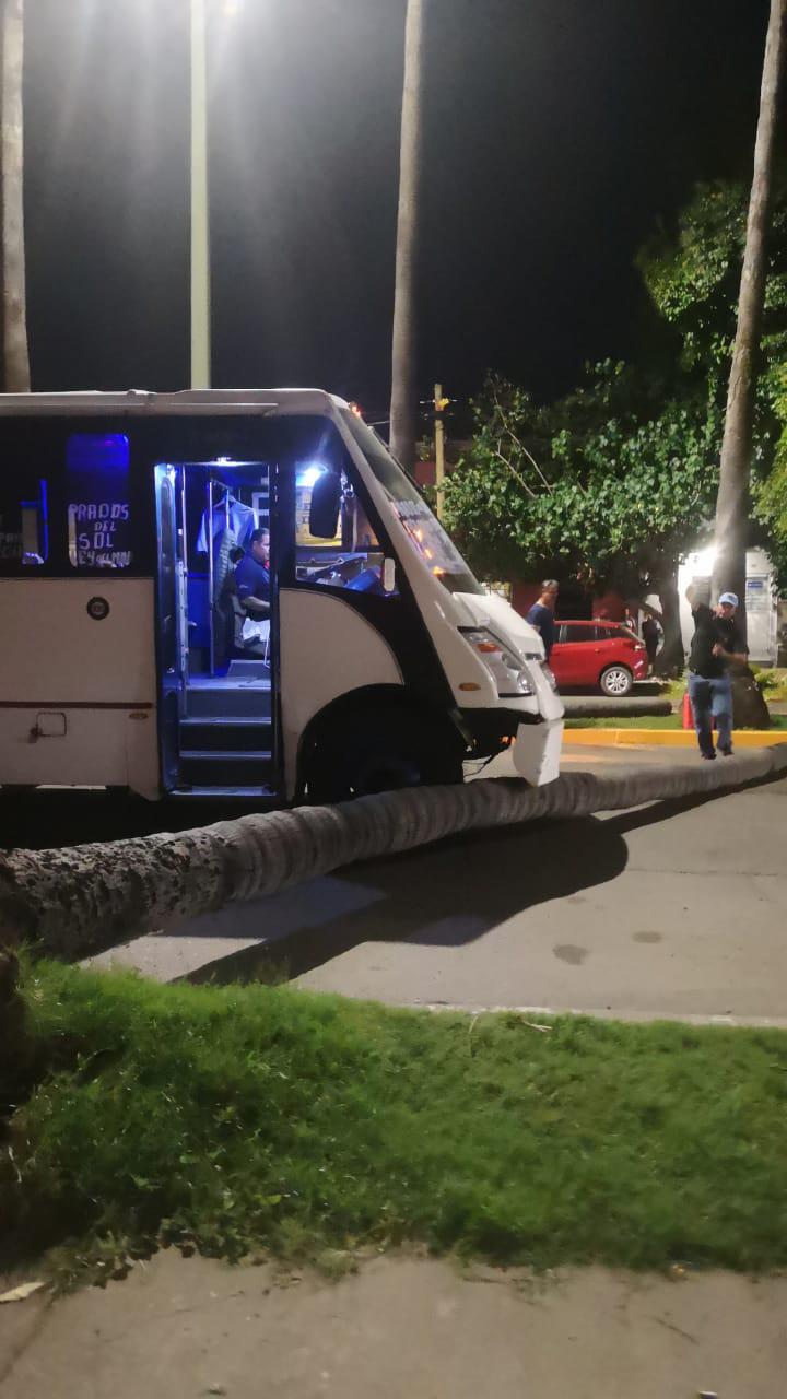 $!Cae palmera en la Avenida Miguel Alemán y bloquea los dos carriles viales