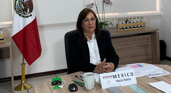 Rocío Nahle pretendía contender por la Gubernatura de Veracruz, pese a no ser nativa de la entidad, ya que nació en Zacatecas.