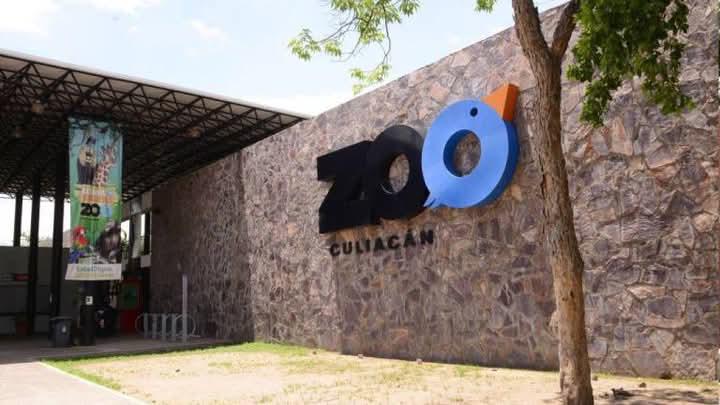 Durante 2024, los ingresos del Zoológico cayeron en un 50 por ciento.