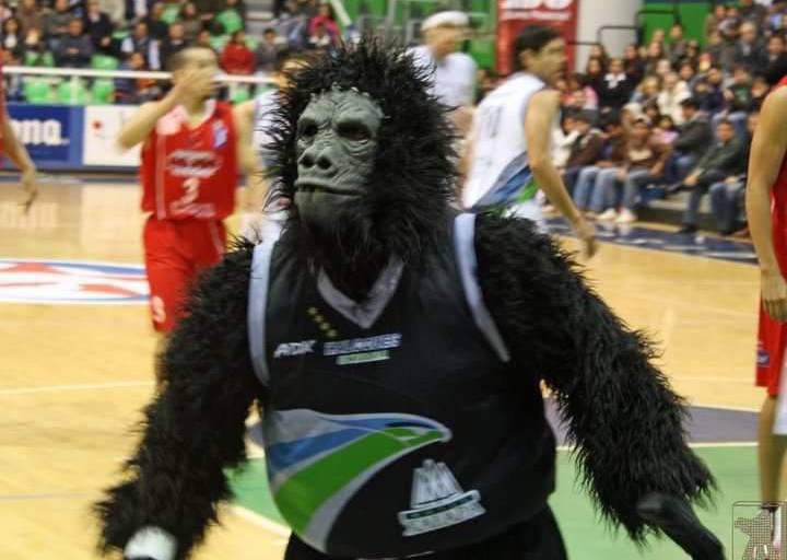 Chango Kiki ambientará el Lobo Dome en juego de Piratas
