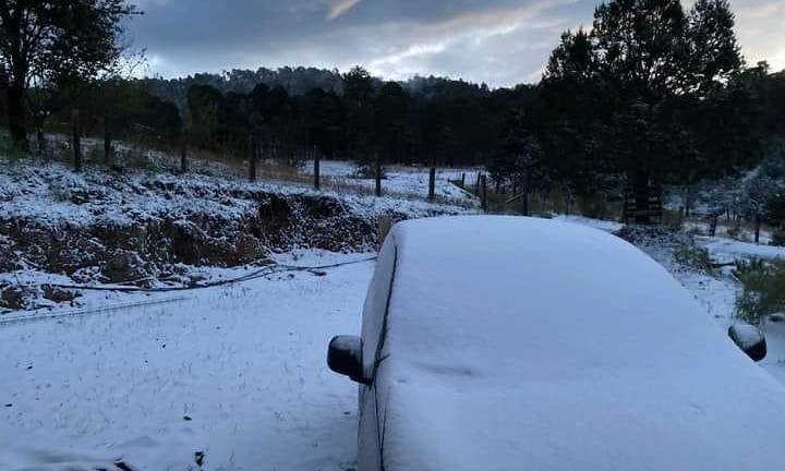 Bajo la nieve amaneció la comunidad de Santa Gertrudis, Badiraguato.
