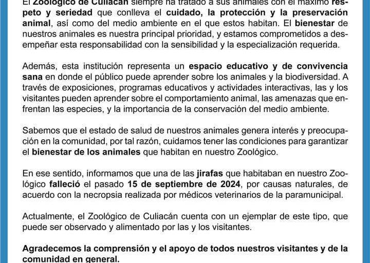 Explica zoológico de Culiacán que jirafa faltante falleció en septiembre