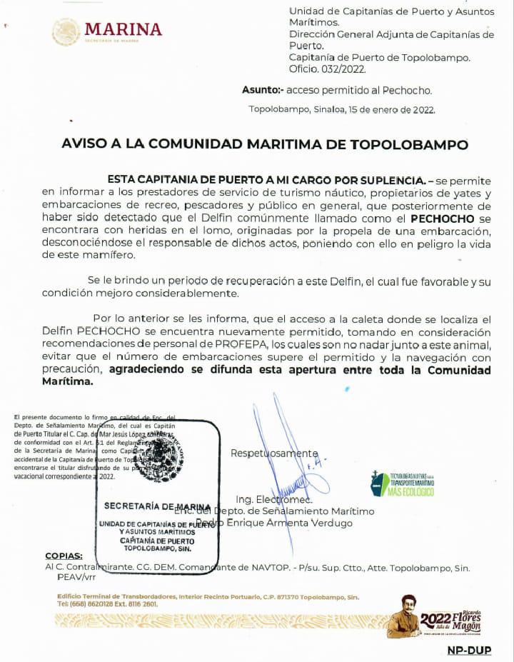 $!Tras recuperación del delfín ‘Pechocho’, reabren acceso a su caleta en Topolobampo