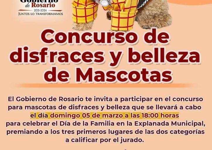 Invitan al primer concurso de disfraces y belleza de mascotas en Rosario