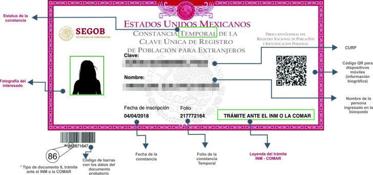 Por sus características la identificación será obligatoria .