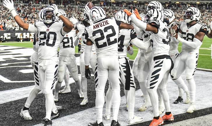 Los Bengals pararon en seco a los Dolphins de Miami.