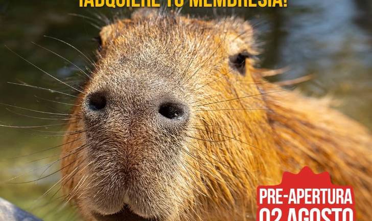La preapertura del hábitat para conocer a los capibaras será el 2 de agosto.