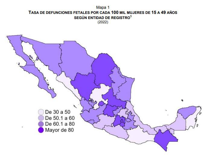 $!Gobierno Federal aún no establece seguimiento para mujeres que practican el aborto: Psicóloga