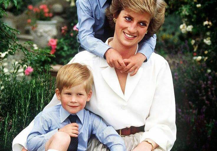 Tributo a Diana de Gales logra unir a los príncipes Guillermo y Harry; le harán monumento