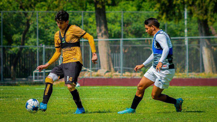 Dorados de Sinaloa no pudo cerrar su estancia en Guadalajara con triunfo.