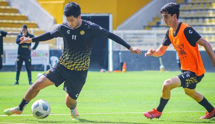 Dorados de Sinaloa buscará, con urgencia, obtener el triunfo y los cuatro puntos en su visita a Mérida.