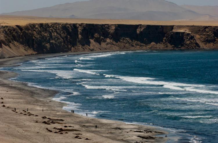 Día Mundial de los Humedales: las amenazas que ponen en riesgo a estas reservas de agua en América Latina