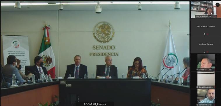 Comparece Quirino Ordaz Coppel en comisiones del Senado de la República