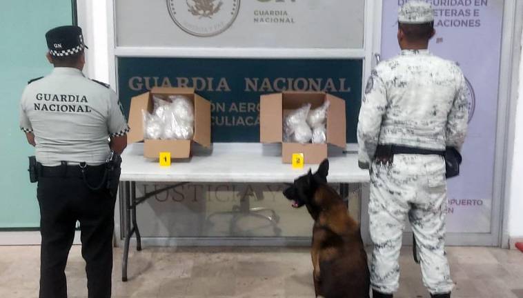 Los nueve paquetes fueron asegurados y puestos a disposición de la Agencia del Ministerio Público.
