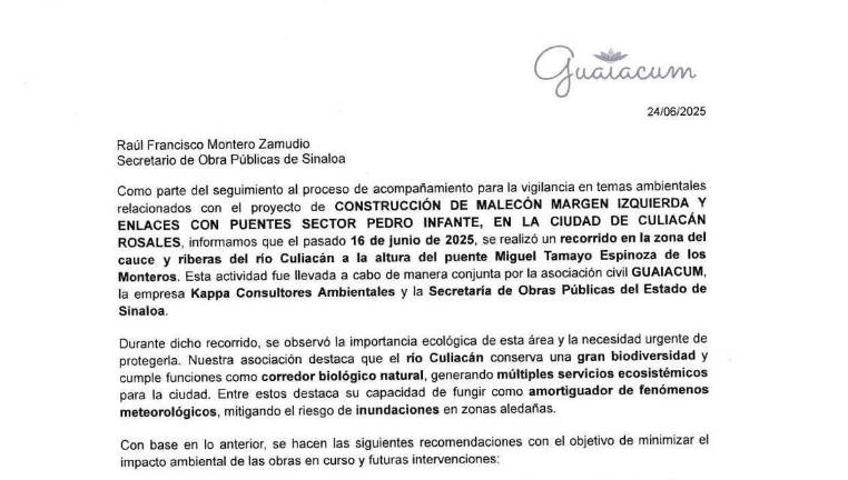 El documento contiene recomendaciones para minimizar los efectos ambientales durante la ejecución y en futuras intervenciones.