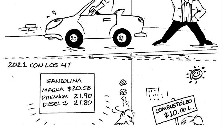 Gasolina vs gansolina
