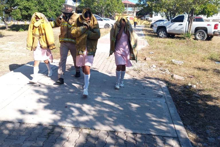 Pican abejas a 50 alumnos y 6 maestros en secundaria de El Rosario