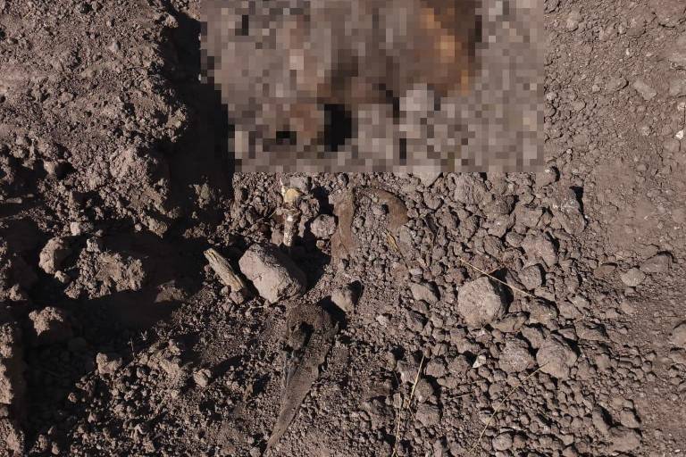 Madres Buscadoras localizan tres cuerpos en dos fosas clandestinas en Gato de Lara, en Angostura