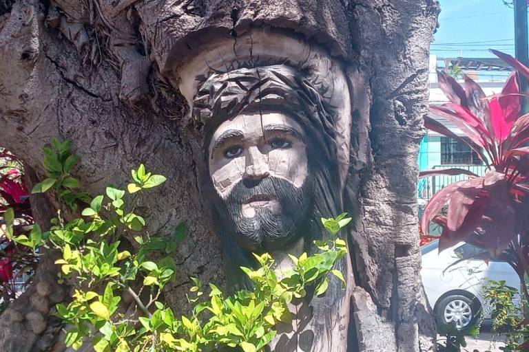 Atrae a turistas imagen de Cristo tallada en árbol de hule en Catedral de Mazatlán