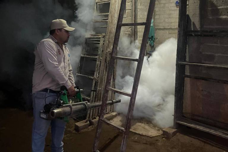 Prevén abrir en febrero guardería hijos de jornaleros agrícolas en Isla del Bosque, en Escuinapa