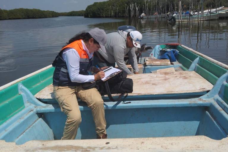 Levantan veda sanitaria en Altata y Ensenada Pabellones