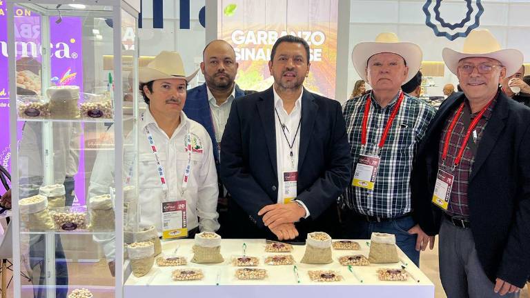 Ismael Bello Esquivel señaló que hay muy buenas perspectivas para los productores de garbanzo sinaloenses.