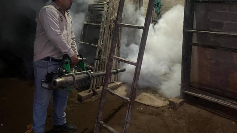 Personal de Salud realiza trabajos preventivos en una cuartería de Isla del Bosque.