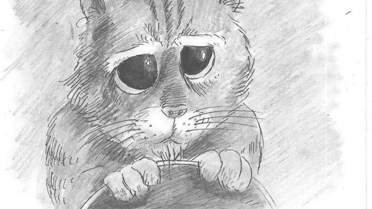 Cosita...