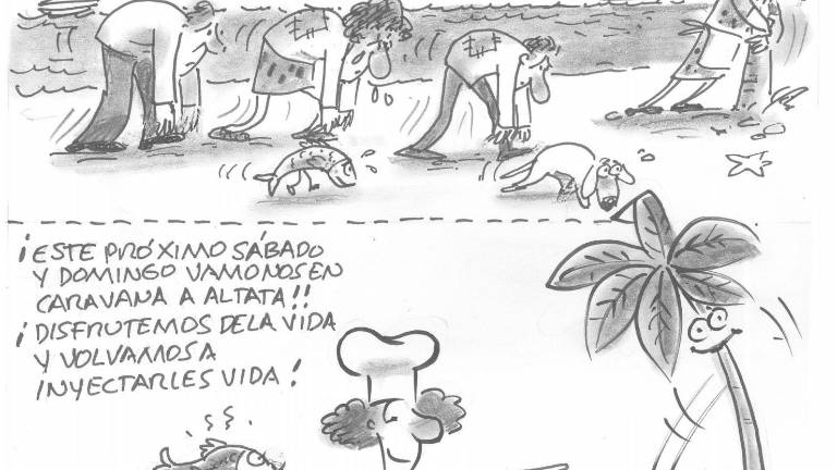Unidos por Altata