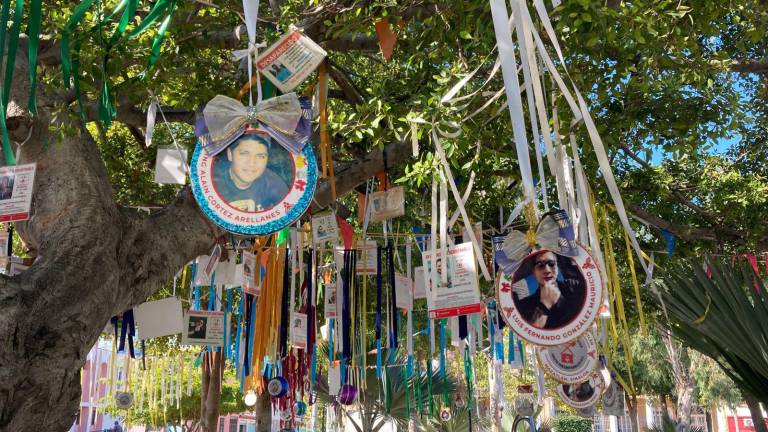 Cientos de retratos con datos de las personas desaparecidas han sido colocados en el árbol.