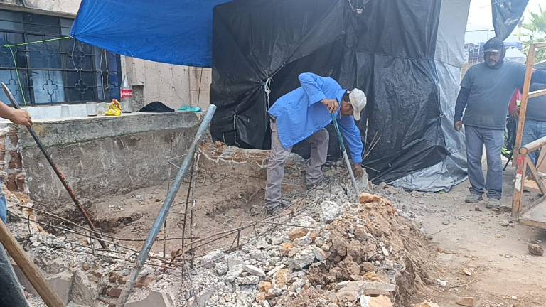 Las maceteras fueron construidas en los 90, eran una mezcla de concreto y armado de acero.