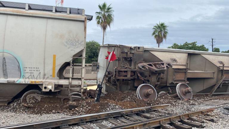 El descarrilamiento de los vagones fue causado presuntamente por una falla mecánica durante el cambio de vía.