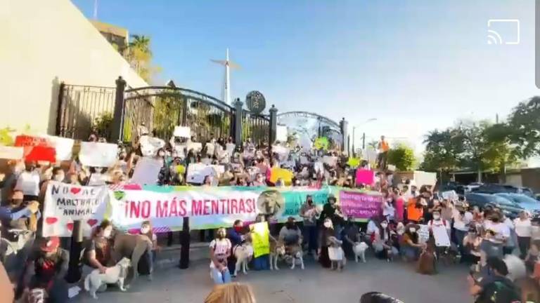 Tenemos que unirnos en una sola voz: exige Culiacán justicia por el perrito Rodolfo