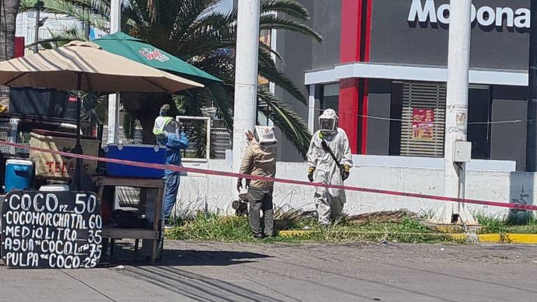Protección Civil acordonó el área tras el ataque de abejas en un restaurante de Mazatlán.