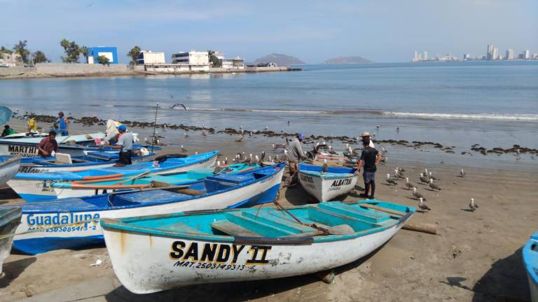 Pescadores de Playa Norte tienen listas las pangas y se preparan para la temporada del “pajarito”.