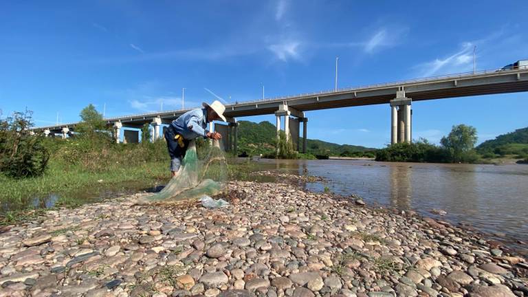 Hermilo Flores, pescador de El Recodo, mantiene viva la tradición ribereña en el río Baluarte.