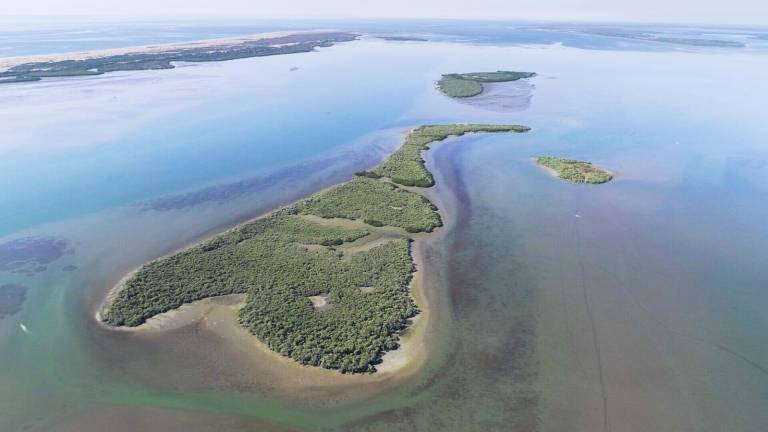 Los humedales cumplen una función vital no solo en la conservación y desarrollo de la naturaleza, sino también en las condiciones de vida de los humanos.
