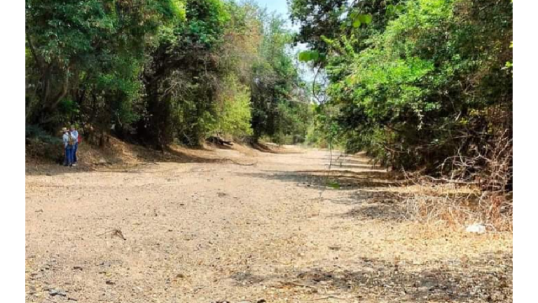 En la zona se ubicó un fragmento de un cráneo y otros huesos.