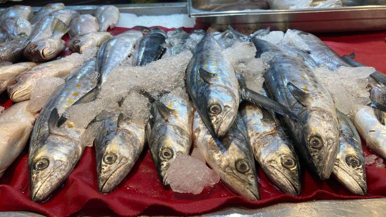 En el Mercado Pino Suárez, la venta de pescados y mariscos repunta durante la Cuaresma.